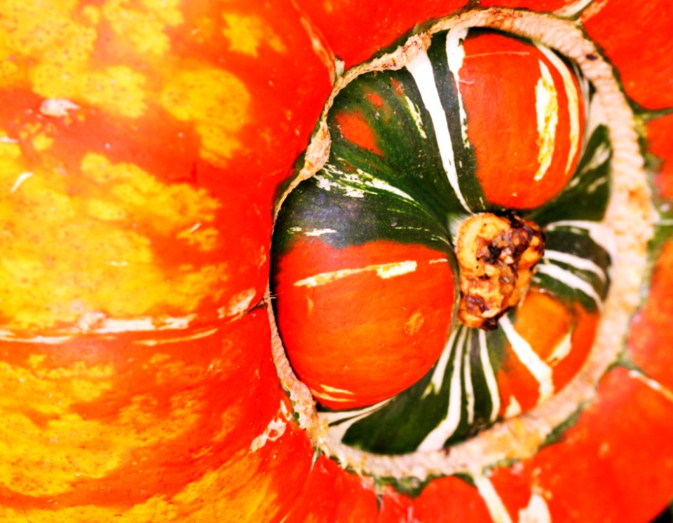 Vegetable Fruit Natural Foods Cucurbita