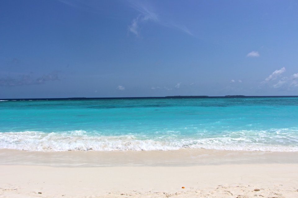 Sea Coastal And Oceanic Landforms Shore Beach