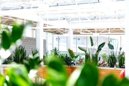 Depth Of Field Photography Of Plants On Pots Under Metal Shed