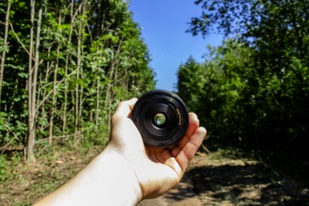 Person Holding Camera Lens In Woods