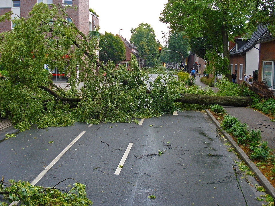 Road uprooted overturned