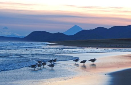 Sea Coastal And Oceanic Landforms Coast Ocean photo