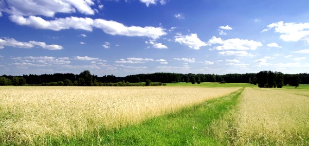 Grassland Sky Field Cloud