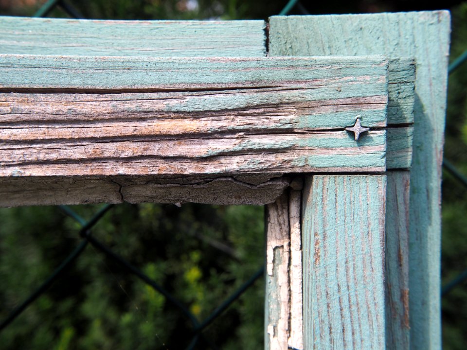 Wood Tree Window Outdoor Structure