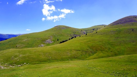 Grassland Highland Ecosystem Hill