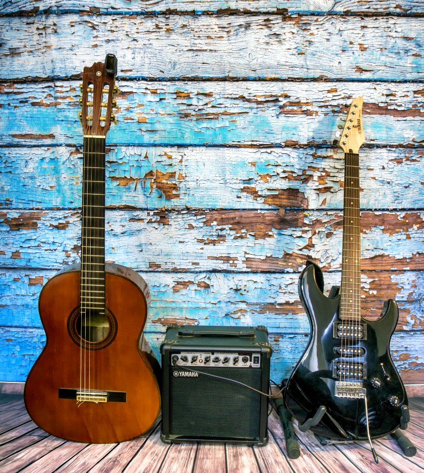 Musical Instrument Guitar Plucked String Instruments Bass Guitar