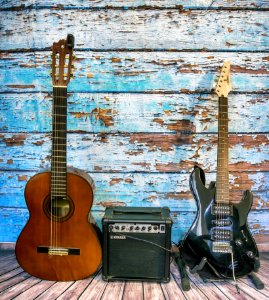 Musical Instrument Guitar Plucked String Instruments Bass Guitar photo