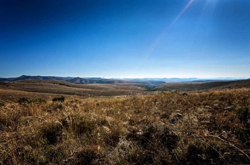 Sky Ecosystem Wilderness Grassland
