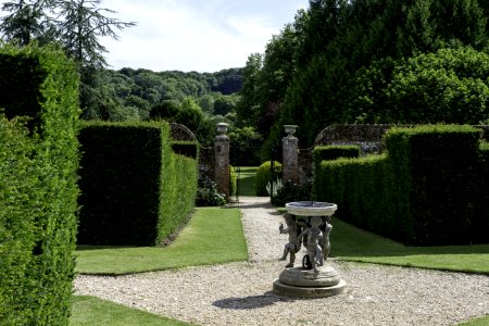 Garden Property Estate Plant