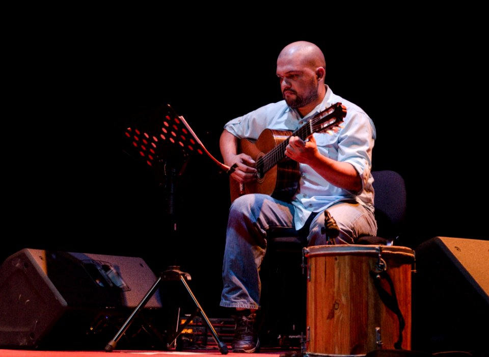 Music Musician Guitarist Musical Instrument