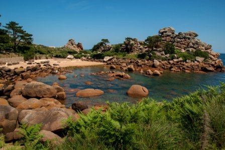 Rock Vegetation Nature Reserve Coast