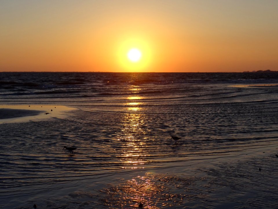 Sea Horizon Ocean Body Of Water