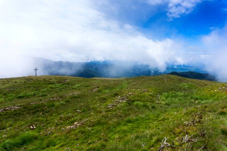 Grassland