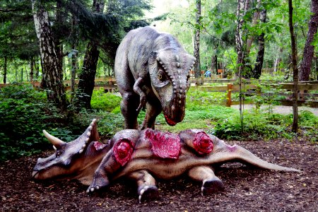 Dinosaur Plant Tree Wildlife