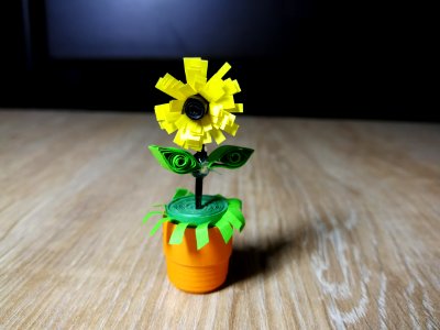 Yellow Flower Flowerpot Plant