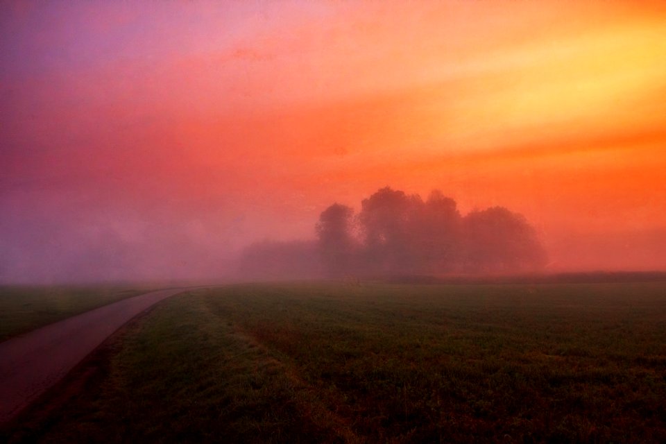 Grey Concrete Road Surrounded By Green Field And Fog