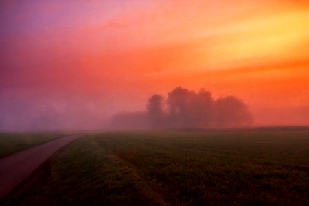 Grey Concrete Road Surrounded By Green Field And Fog photo