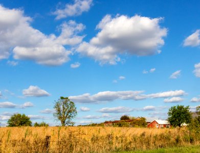 Sky Grassland Cloud Ecosystem photo