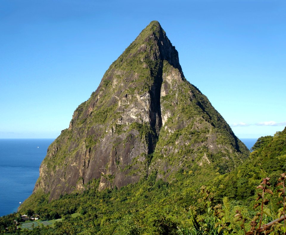 Vegetation Mount Scenery Nature Reserve Promontory photo