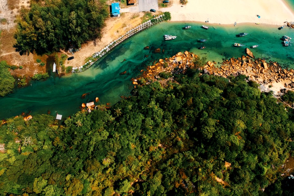 Aerial Photography Of Body Of Water And Trees