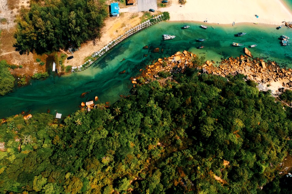 Aerial Photography Of Body Of Water And Trees photo