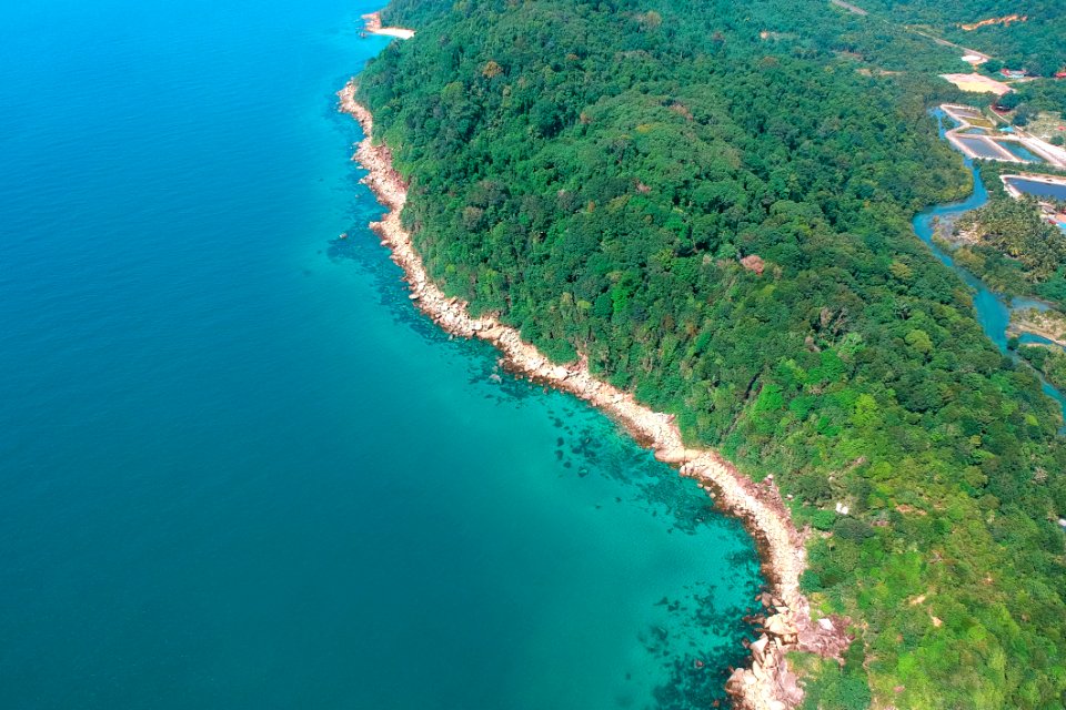 Aerial Photography Of Trees Near Body Of Water photo