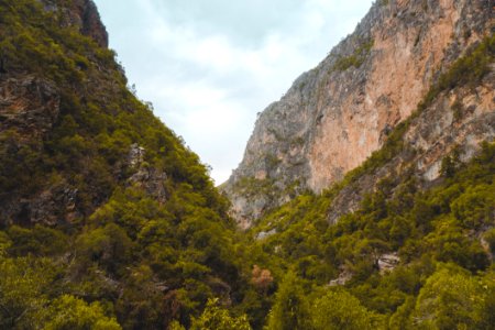 Green Trees On Rock Formation Mountain photo