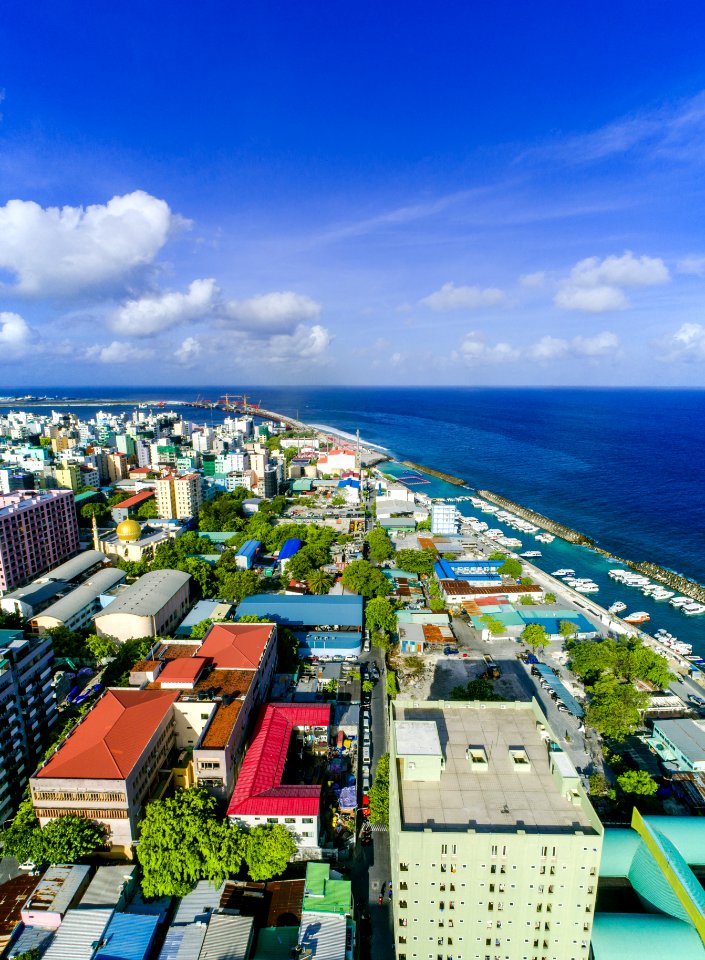 Aerial Photography Of City Near Body Of Water photo