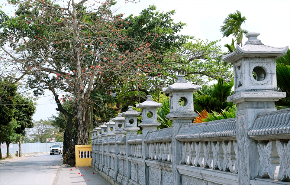 Green-leafed Tree Beside Gray Concrete Baluster