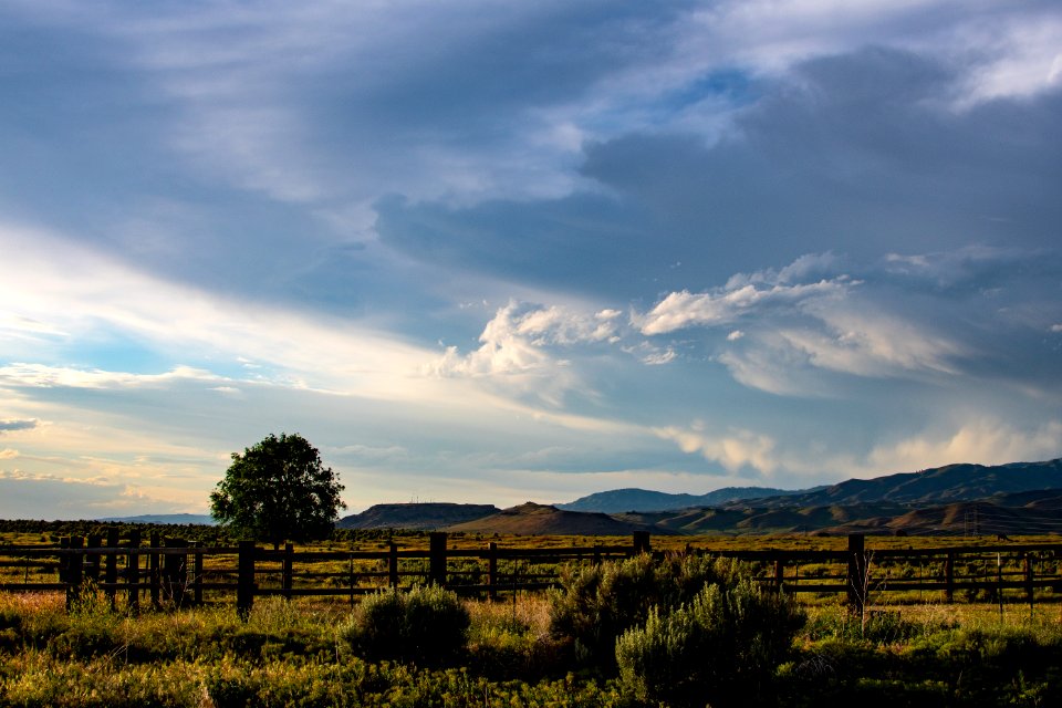 Green Field Under Gray Clouds