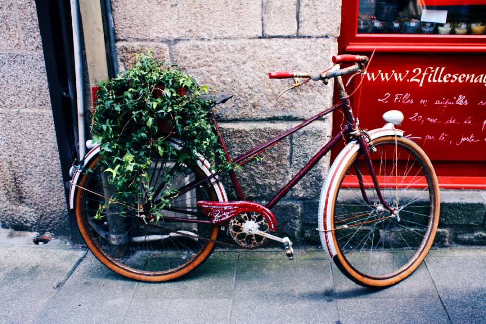 Red Mountain Bicycle In Front Of Gray Wall