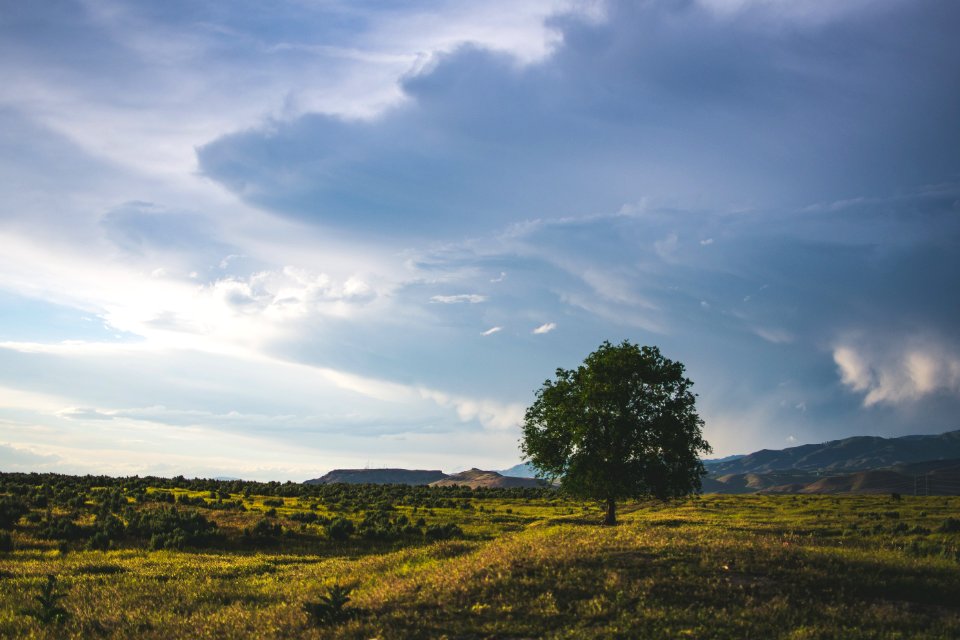 Green Leaf Tree Beside Mountain With Cloudy Sky