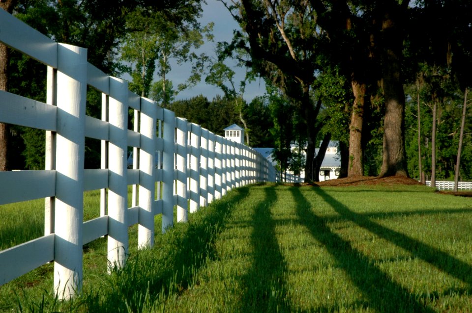 Property Grass Architecture Lawn