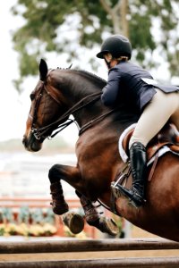 Photography Of Person Riding Brown Horse photo