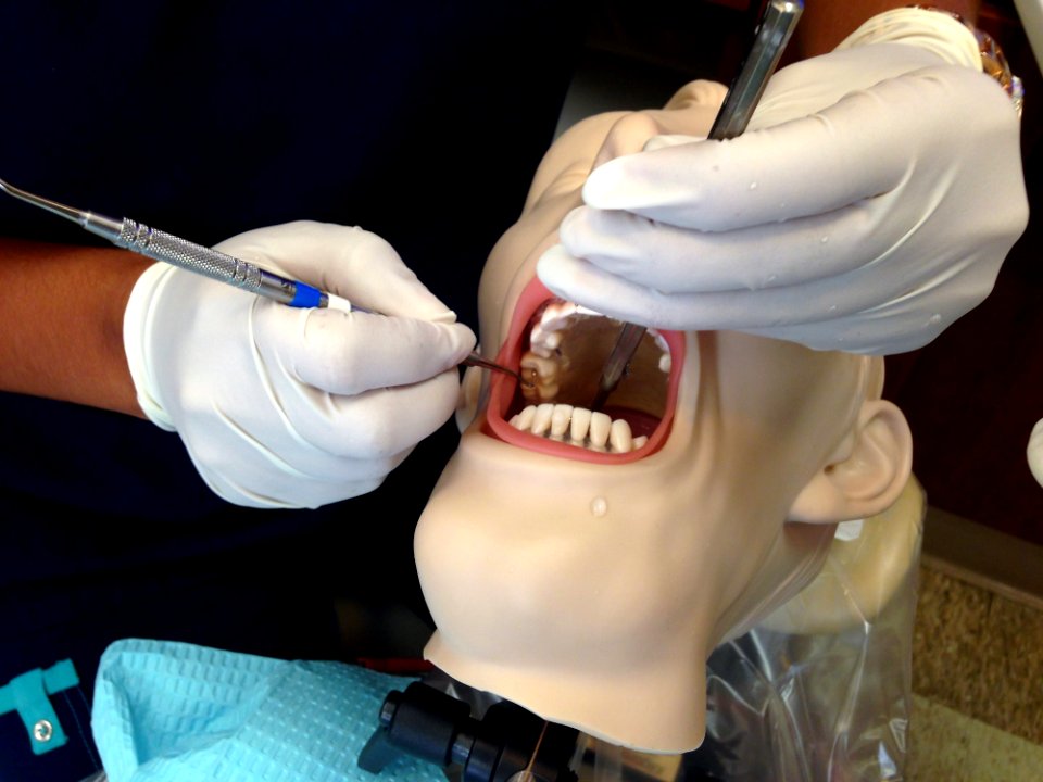 Dentist Mouth Tooth Jaw
