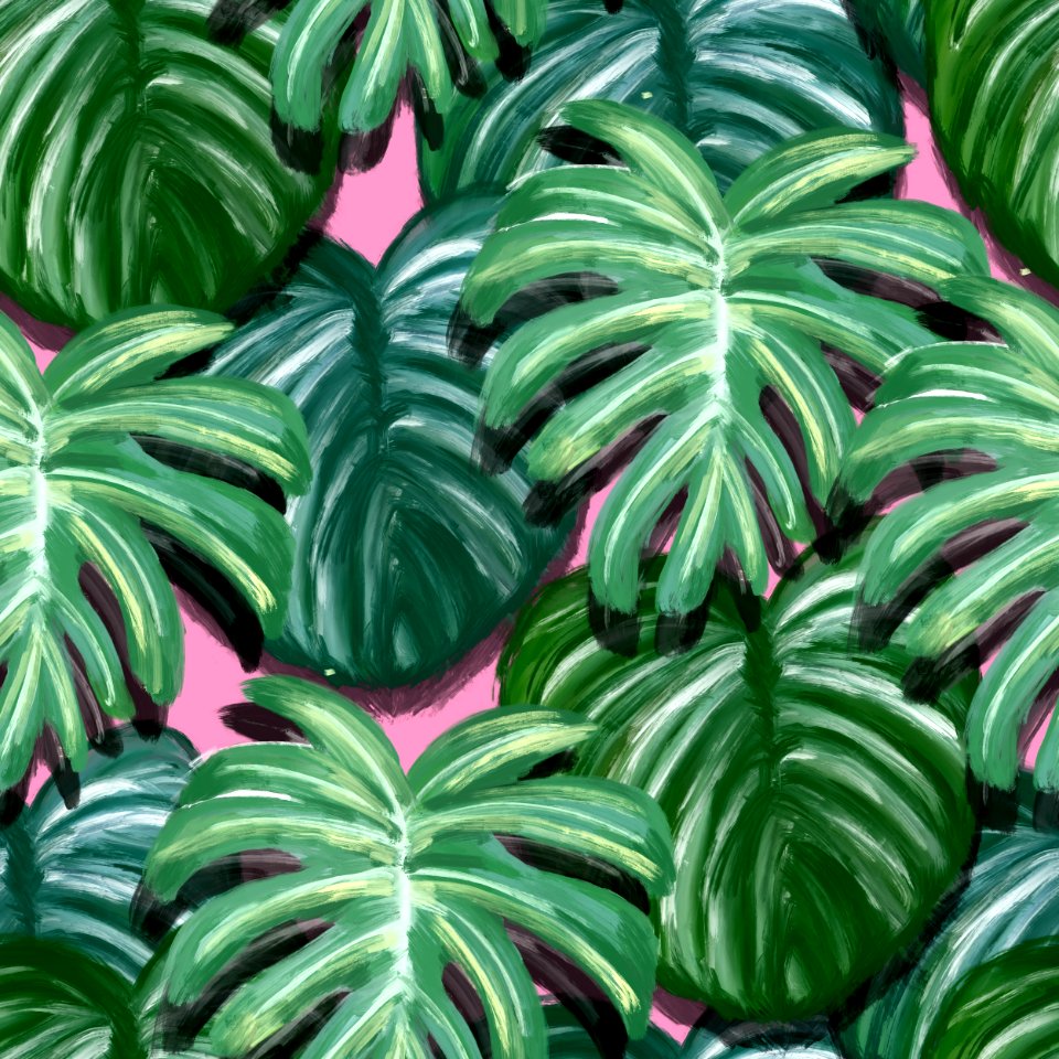 Plant Leaf Houseplant Organism