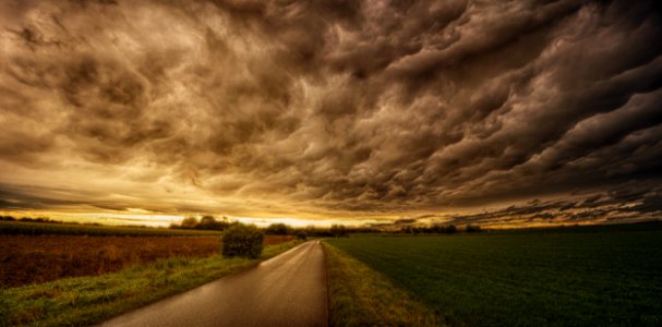 Road In Between Grass Field Under Grey Sky photo