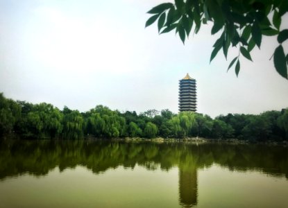 Reflection Nature Body Of Water Water