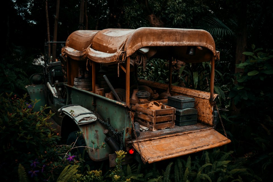 Green And Brown Vehicle In Forest