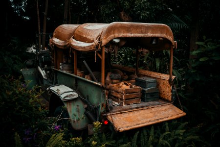Green And Brown Vehicle In Forest