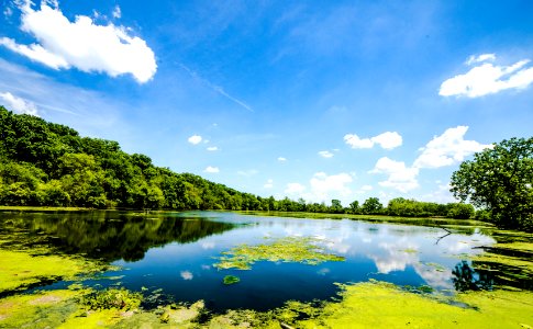 Landscape Photography Of Body Of Water Near Trees photo