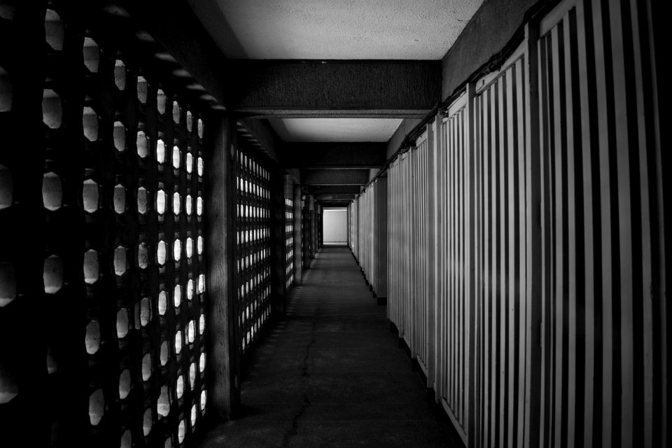 Grayscale Photo Of Pathway