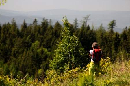 Woman Standing In Front Of Green Leaf Trees photo