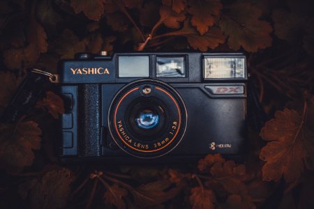 Black Yashica Compact Film Camera Placed On Brown Leaves