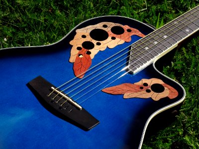 Guitar Musical Instrument Bass Guitar Plucked String Instruments