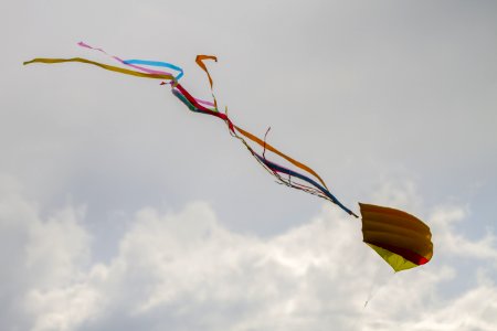 Kite Sports Sky Windsports Kite