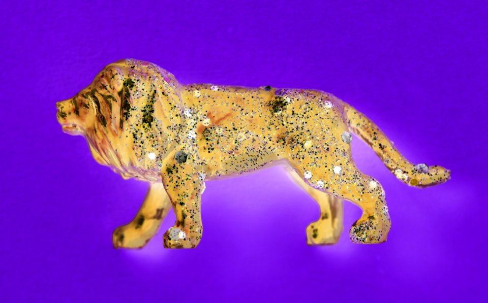 Aerial Animal Background