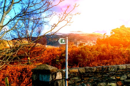 Black And Green Traffic Signage Near Grey Concrete Wall And Brown Trees