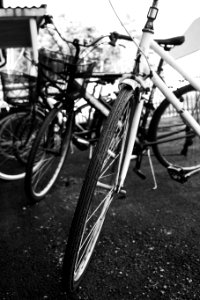 Grayscale Photo Of Bicycles photo
