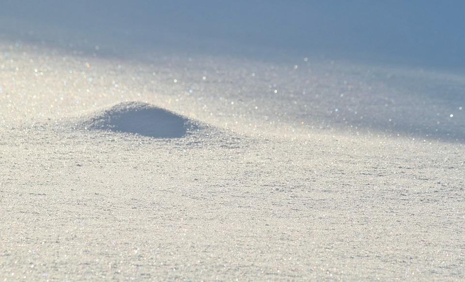Deep snow snowy shadow